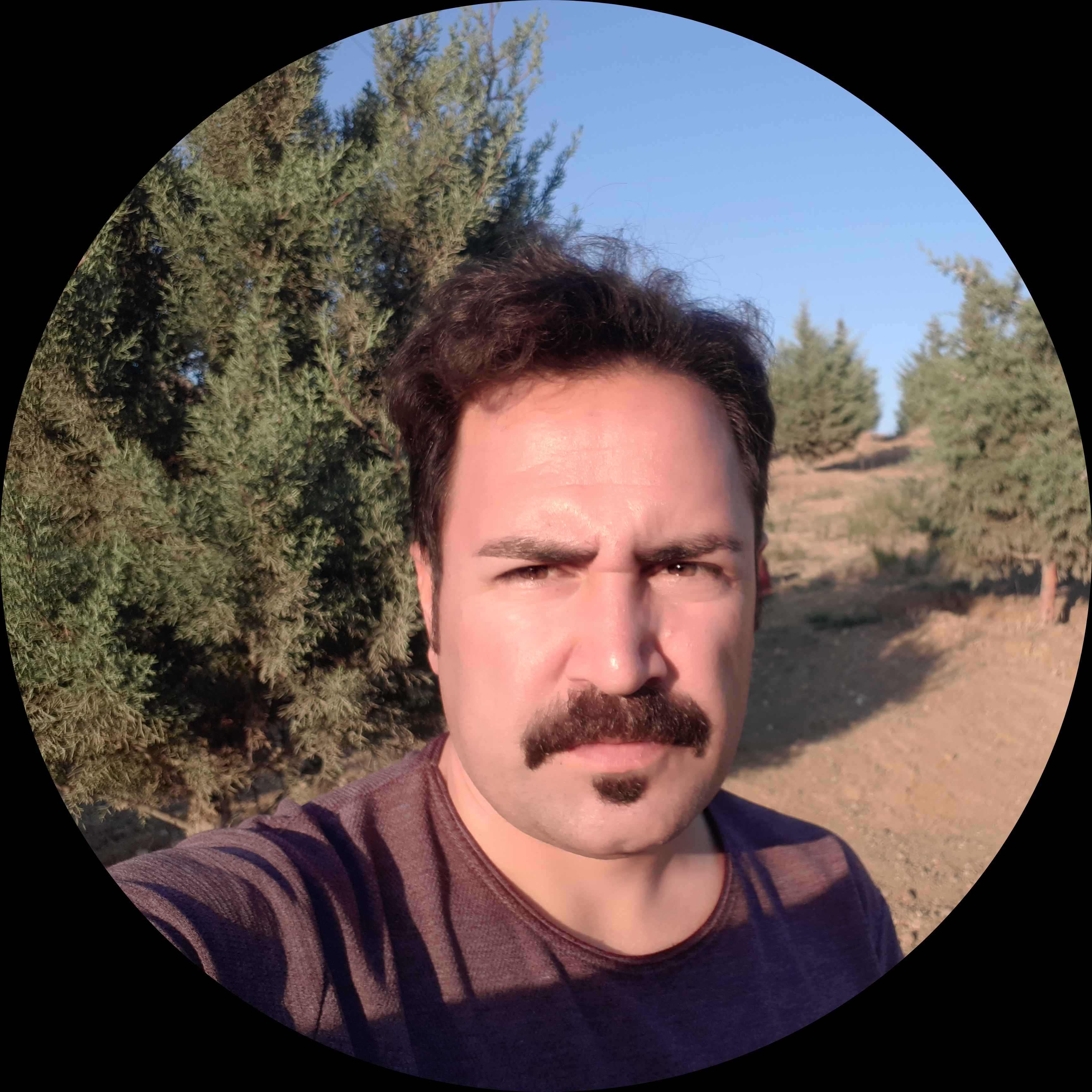 mohsenn5007