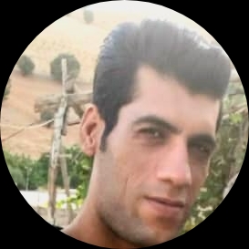 hamedmoghadam